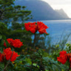 Meet your Posher, Molly